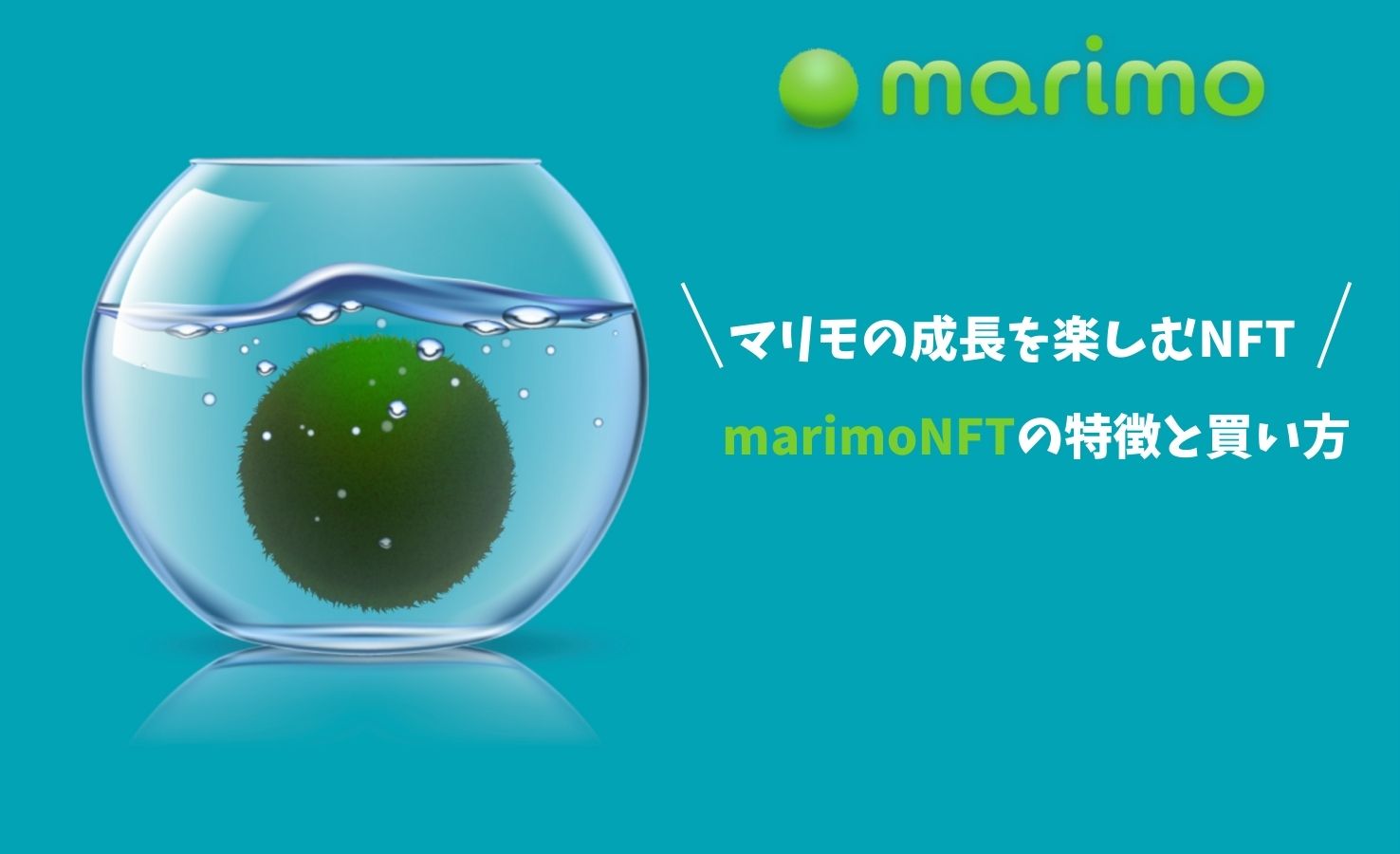 マリモの成長を楽しむNFT】marimo（マリモ）NFTの特徴と買い方