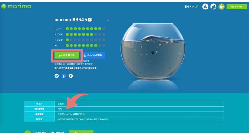 育てるNFT marimo（マリモ）の水換え方法と名前の付け方 - 初心者の